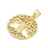 Brass Pendants KK-D317-114G-2