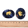Natural Sodalite Cabochons G-T143-28D-3