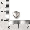 304 Stainless Steel Charms STAS-C119-16P-3