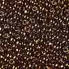 TOHO Round Seed Beads SEED-TR08-0421-2