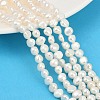 Natural Cultured Freshwater Pearl Beads Strands PEAR-P064-19G-08A-1