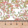 4 Colors 11/0 Christmas TOHO Round Seed Beads SEED-X0058-29-4