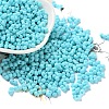 Rubberized Style Glass Seed Beads SEED-Z003-01D-1