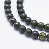 Natural Serpentine/Green Lace Stone Beads Strands X-G-P345-01-4mm-3