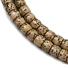 Natural Rudraksha Bodhi Seed Beads Strand WOOD-B010-A03-5x6mm-4