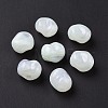 Opaque Acrylic Beads OACR-C013-10G-3