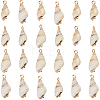 30Pcs Electroplated Spiral Shell Pendants SSHEL-SC0001-29B-1