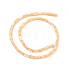 Natural Freshwater Shell Dyed Beads Strands SHEL-M018-11-3