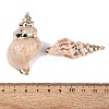 Electroplate Natural Sea Shell Big Pendants SSHEL-Q100-24KCG-3