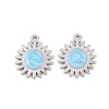 304 Stainless Steel Enamel Pendants STAS-K293-30P-01-1