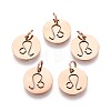 304 Stainless Steel Charms STAS-Q201-T445-5R-1