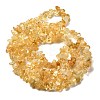 Gemstone Beads Strands X-F044-2