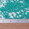 MIYUKI Delica Beads Small X-SEED-J020-DBS0729-3