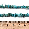 Natural HuBei Turquoise Bead Strands G-H345-A01-06-5