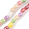 Handmade Porcelain Beads Strands PORC-B008-01-2