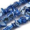 Natural Trochid Shell/Trochus Shell Beads Strands SHEL-B003-02G-1