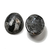 Natural Larvikite Cabochons G-C115-01A-40-2