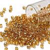 TOHO 6/0 Round Beads SEED-TR06-0022-1
