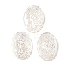 Natural White Shell Carved Cabochons SSHEL-I026-02A-03-1