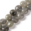 Natural Labradorite Beads Strands G-T047-A18-01-1