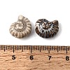 Vintage Handmade Porcelain Beads PR-CBA64B6-11D-3