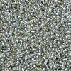 MIYUKI Round Rocailles Beads SEED-G007-RR3192-3