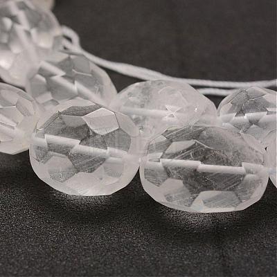 Natural Quartz Crystal Beads Strands G-G970-20-1