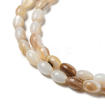 Natural Freshwater Shell Beads Strands SHEL-H072-03-1