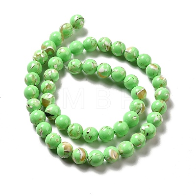 Synthetic Turquoise and Sea Shell Assembled Beads Strands G-D482-01E-02-1