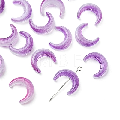 20Pcs Gradient Color Handmade Lampwork Beads LAMP-FS0001-18B-1