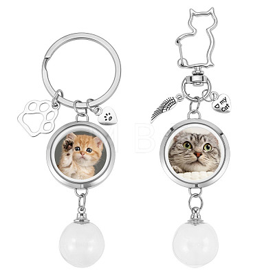 2Pcs Stainless Steel & Alloy Keychains KEYC-DR00023-1