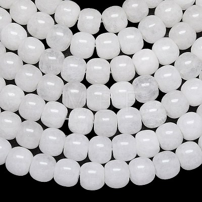 Natural Malaysia Jade Beads Strands G-B165-F13-10x10mm-1