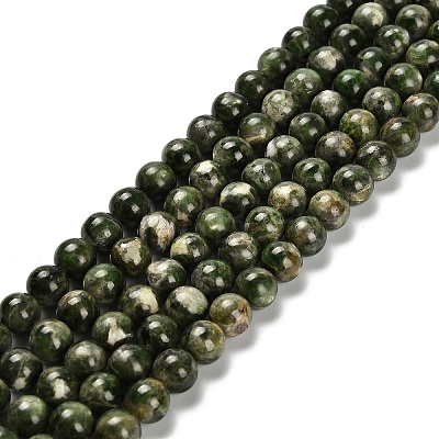 Natural Diopside Beads Strands G-R006-A01-02-1