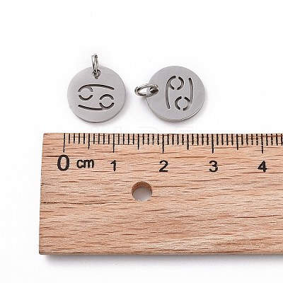 304 Stainless Steel Charms STAS-Q201-T445-4S-1