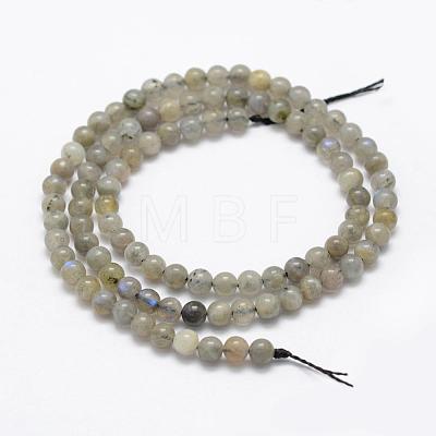 Natural Labradorite Beads Strands G-P322-29-4mm-1