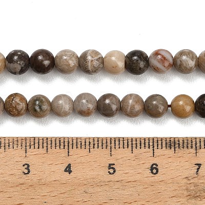 Natural Fossil Coral Beads Strands G-C288-A01-6mm-1