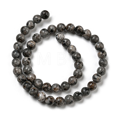 Natural Larvikite Beads Strands G-E443-A36-1