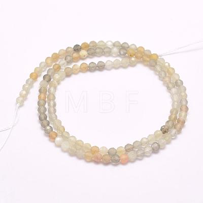 Natural Multi-Moonstonee Beads Strands G-F509-06-3mm-1