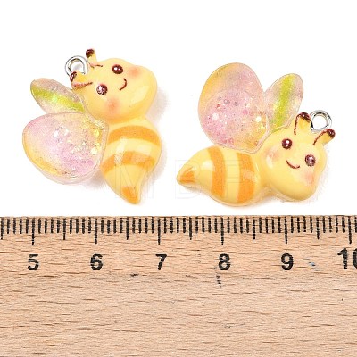 Transparent & Opaque Resin Pendants RESI-P048-02D-P-1