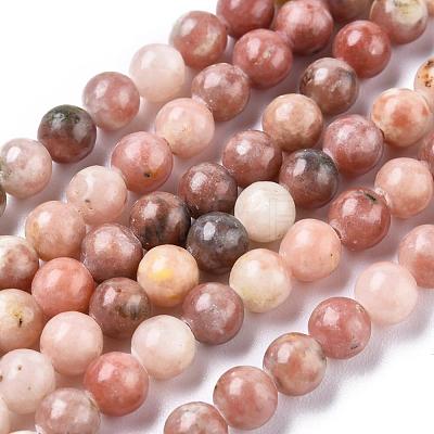 Natural Plum Blossom Jasper Beads Strands G-A163-02-6mm-1