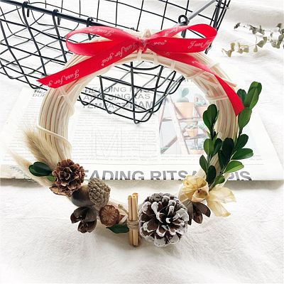 Circle Shape Rattan Vine Branch Wreath Hoop DIY-B022-04E-1