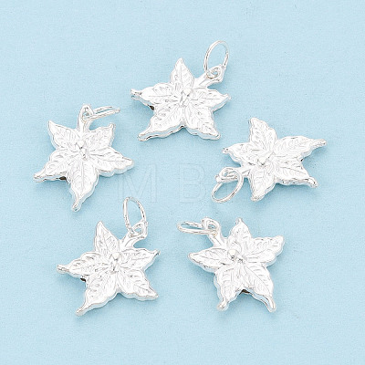 925 Sterling Silver Pendants STER-T009-07S-1