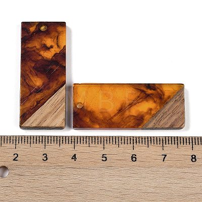 Resin & Wood Pendants WOOD-F015-09A-1