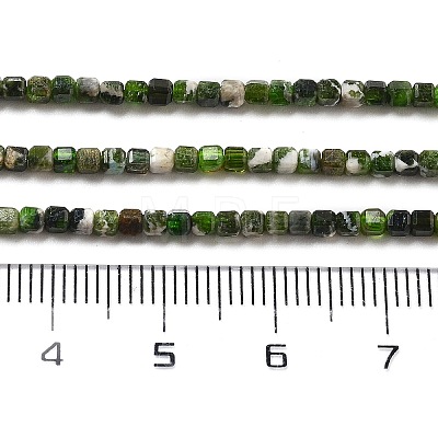 Natural Diopside Beads Strands G-G161-C23-01-1