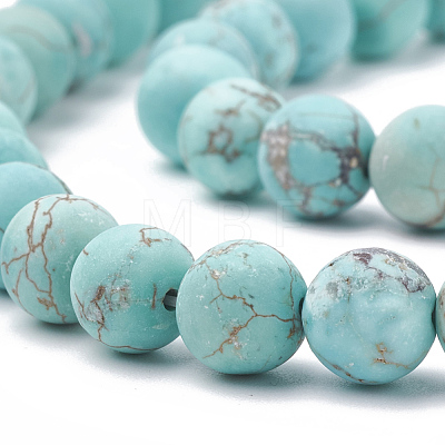 Natural Howlite Beads Strands X-G-T106-183-1-1