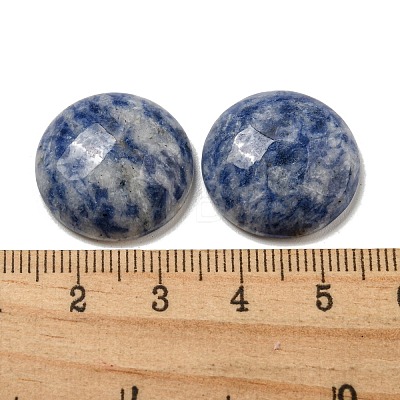 Natural Blue Spot Jasper Cabochons G-C115-02A-45-1