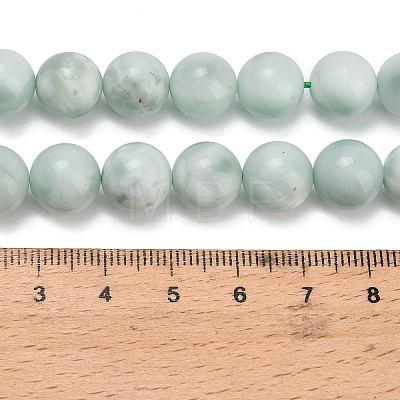 Glass Beads Strands G-L642-B18-10mm-1