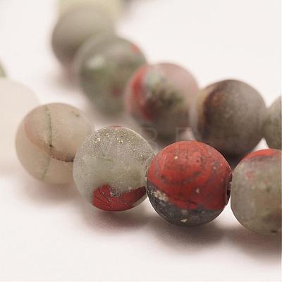 Natural African Bloodstone Beads Strands G-P295-05-10mm-1