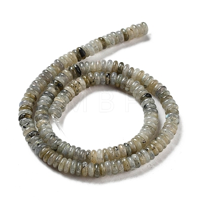 Natural Labradorite Beads Strands G-G084-A03-01-1