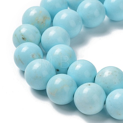 Natural Howlite Beads Strands G-E604-B02-C-1